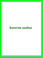audio book