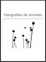 veja a publica&ccedil;&atilde;o