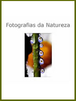 veja a publica&ccedil;&atilde;o